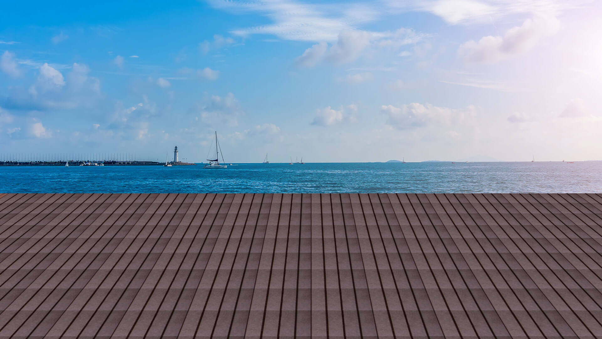 Millerholz Visualizer