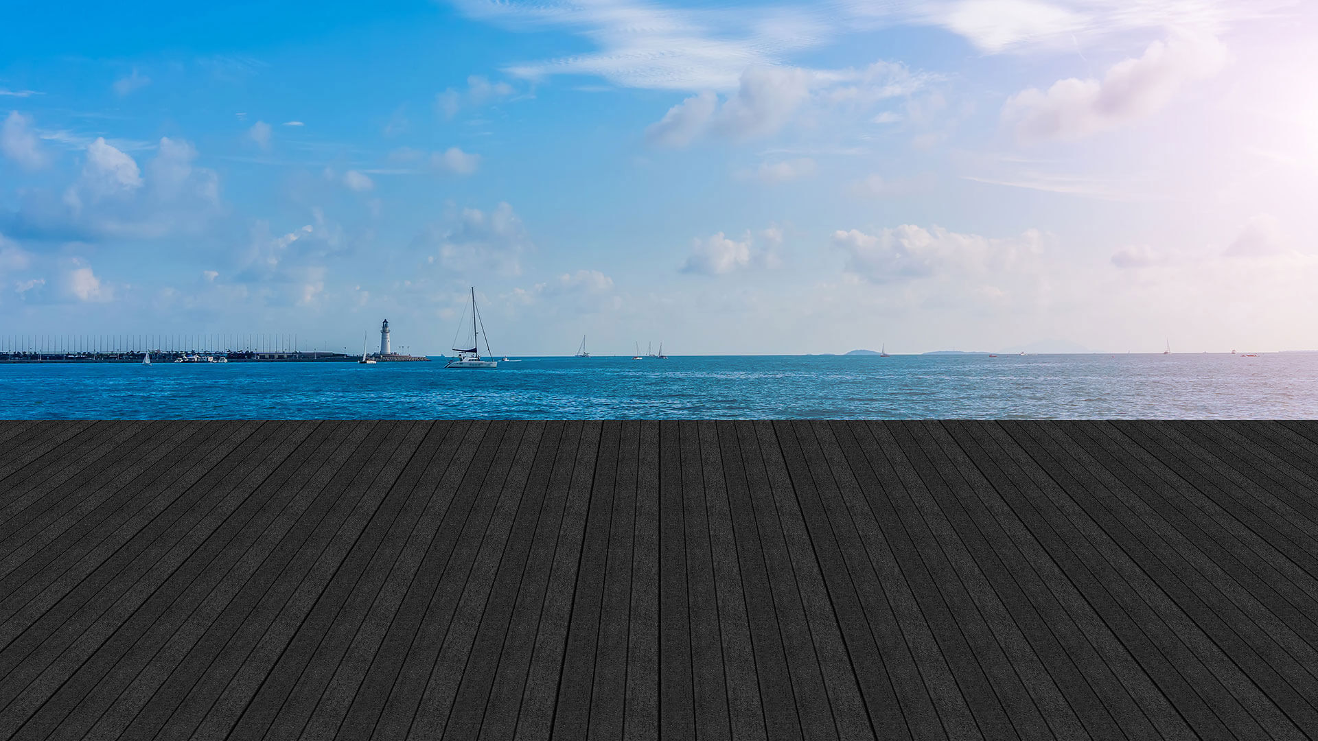 Millerholz Visualizer