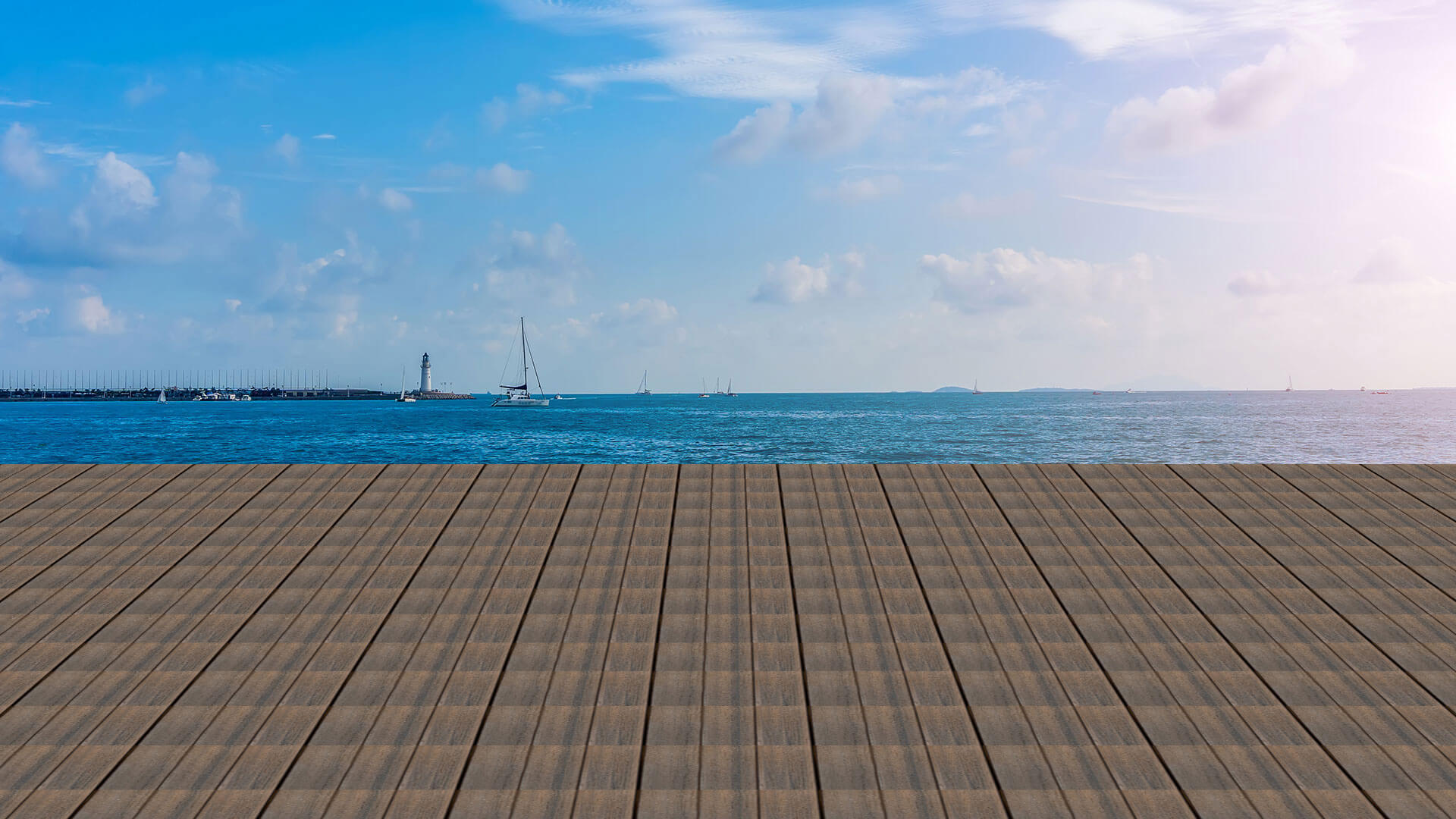 Millerholz Visualizer