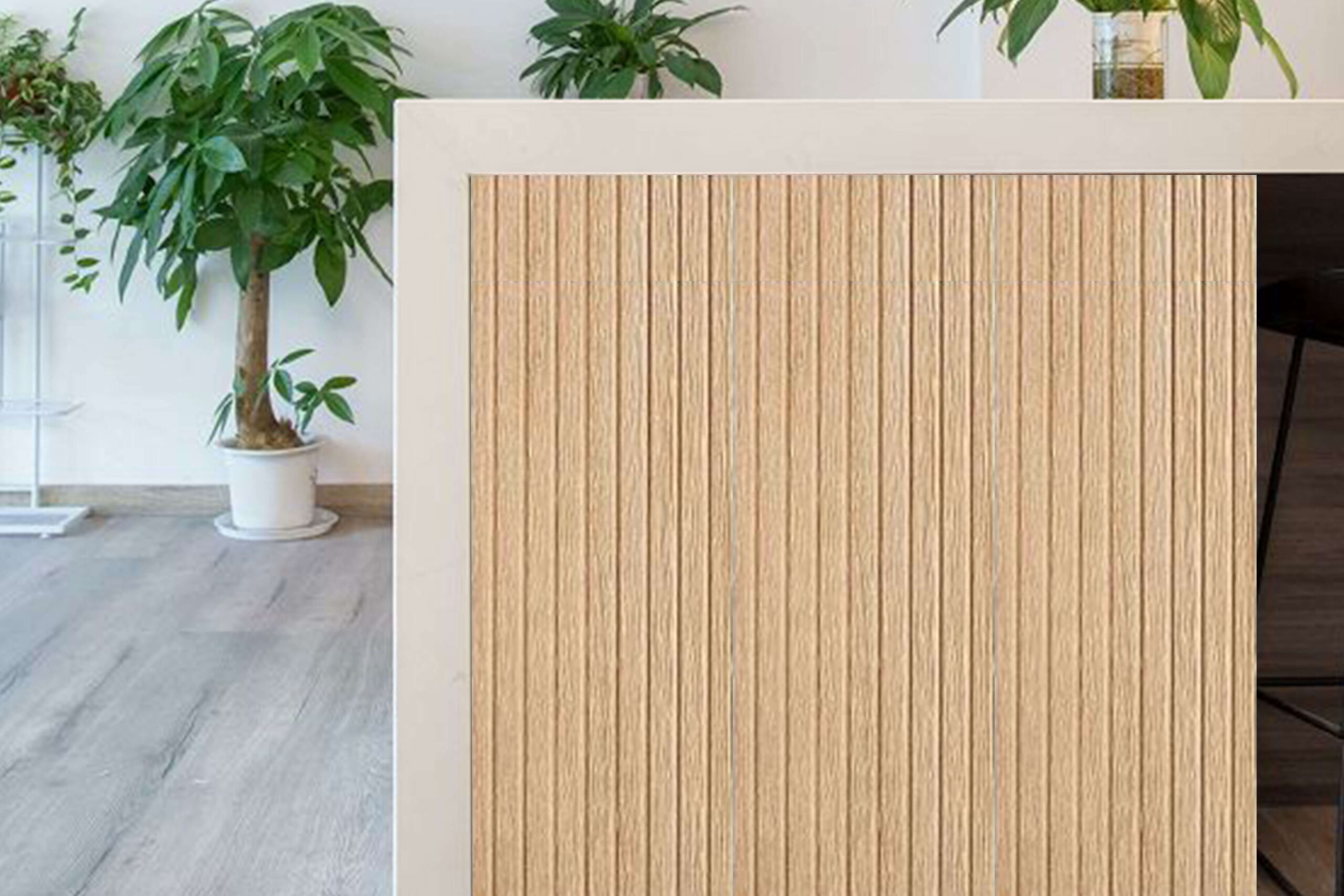 Millerholz Visualizer